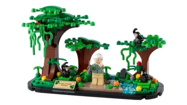 40530 ジェーン・グドール博士とチンパンジーの森：レゴ®LEGO®購入者プレゼント用セット