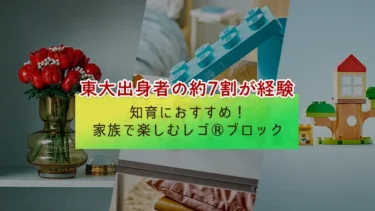 東大出身者の約7割が経験「レゴ(R)ブロック」で知育を始めよう！入門におすすめのファミリー向けレゴ(R)セットも紹介