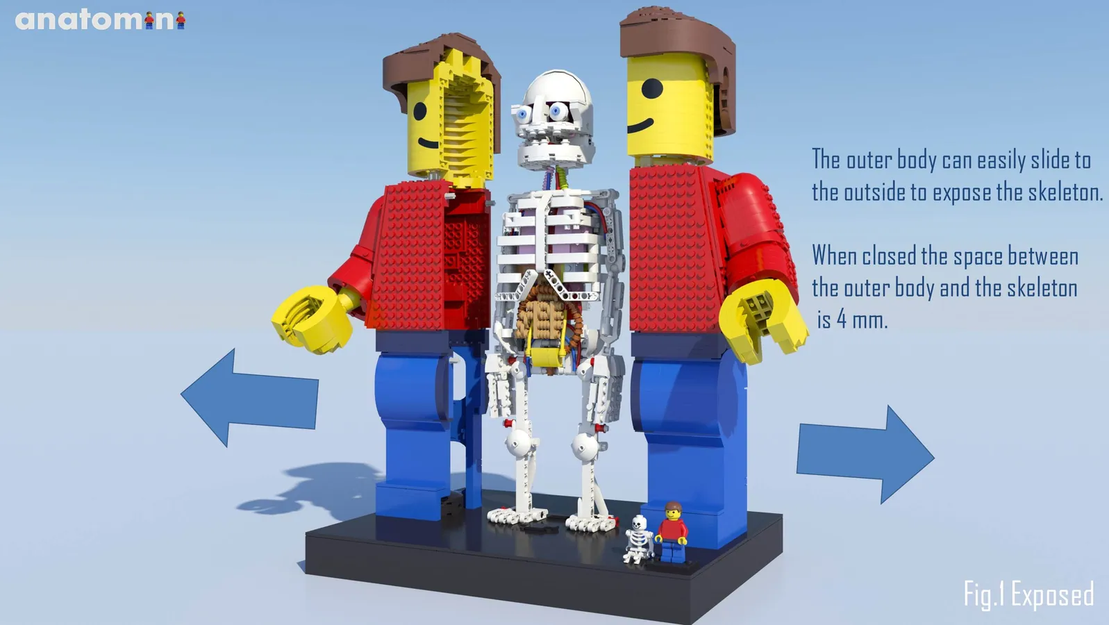 レゴ(R)アイデアで『レゴの解剖学』が製品化レビュー進出！2023年第3回1万サポート獲得デザイン紹介