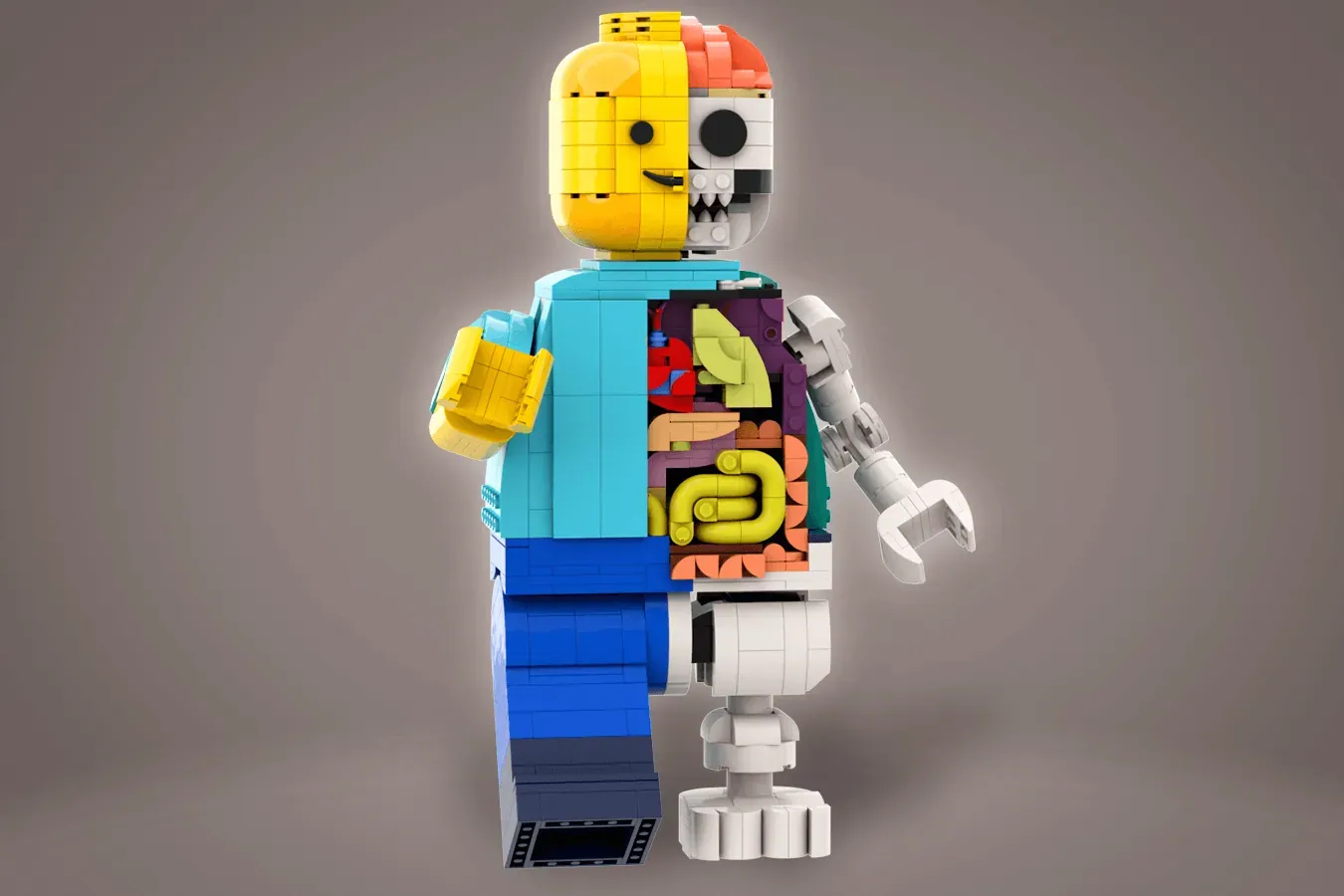 レゴ(R)アイデアで『レゴの解剖学』が製品化レビュー進出！2023年第3回1万サポート獲得デザイン紹介
