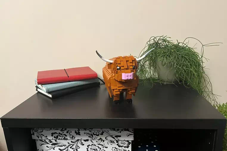 Irresistible Fluffiness: Highland Cattle Joins LEGO Ideas Review (2024-2025 New Candidates) | Introduction to the 2024 First Review 10,000 Support Achievement Designs