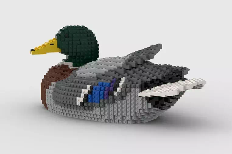 Mallard Advances to LEGO Ideas Review (2025-2026 New Release Candidate) | 2024 Second 10K Support Design Introduction