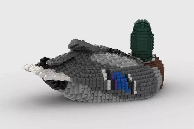 Mallard Advances to LEGO Ideas Review (2025-2026 New Release Candidate) | 2024 Second 10K Support Design Introduction